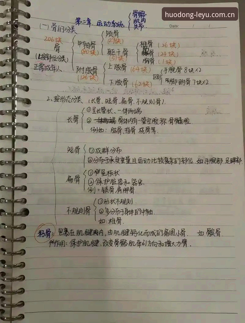 乐鱼体育手机版 揭秘乐鱼体育手机版背后的隐藏玩法:写给新手的实操笔记